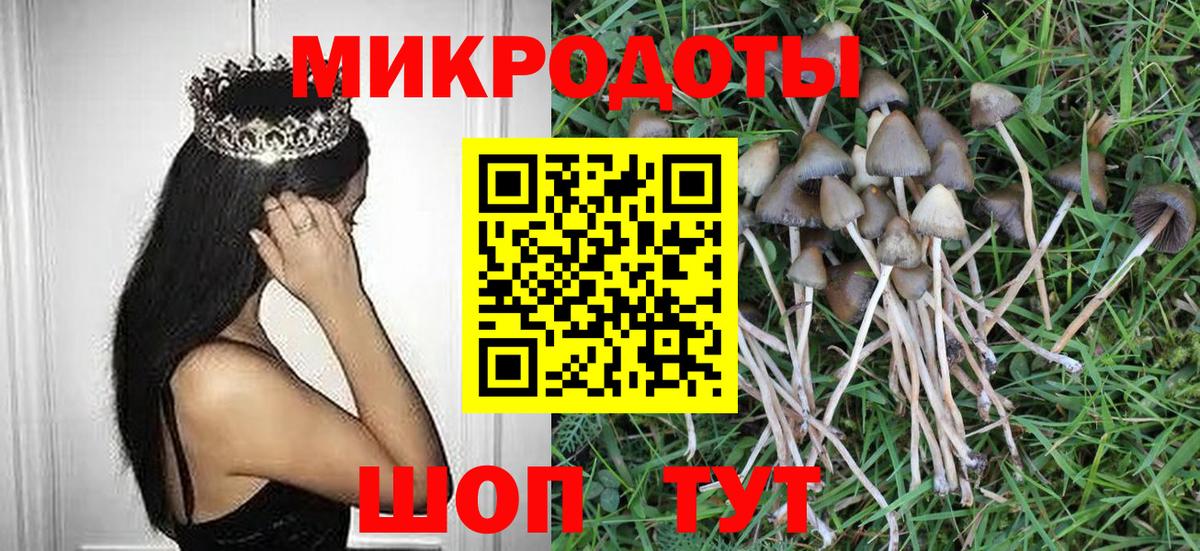 Новодвинск  Псилоцибиновые грибы Psilocybine cubensis  Вход с VPN 