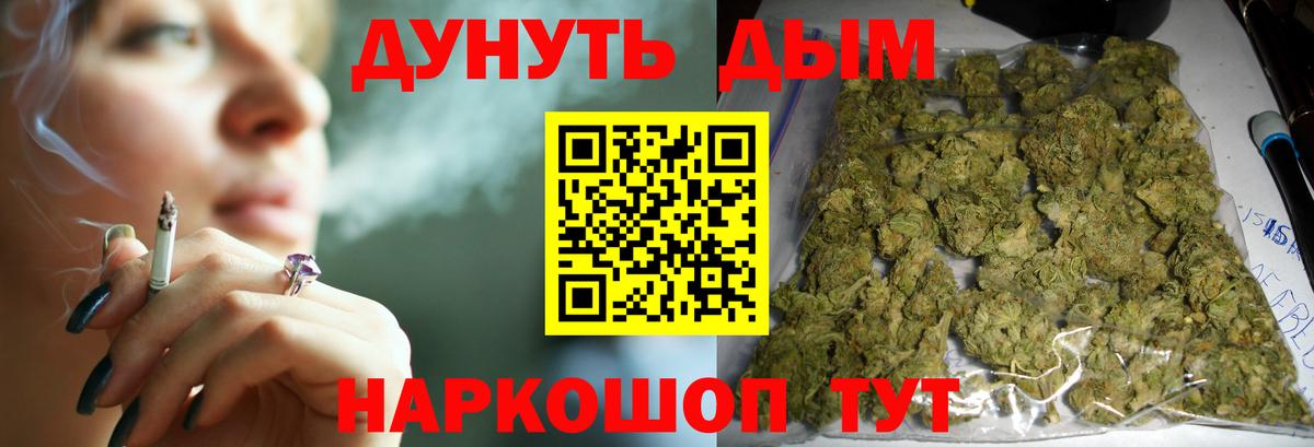 Каннабис гибрид Новодвинск